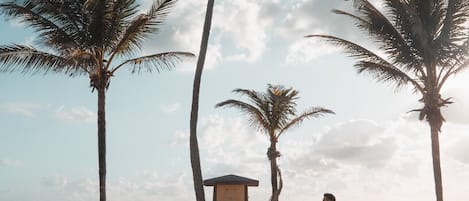海滩