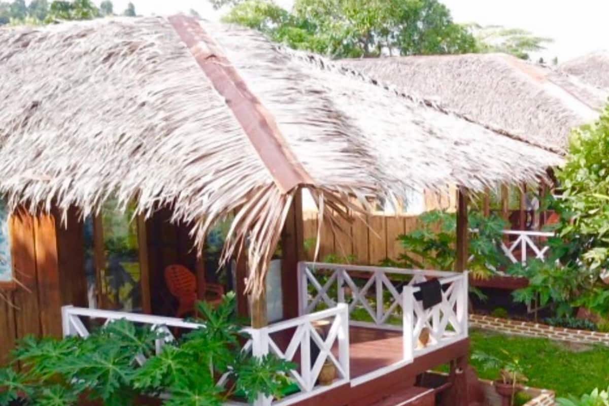 Una construcción con techo de paja, un porche de madera y escalones, rodeada de follaje.