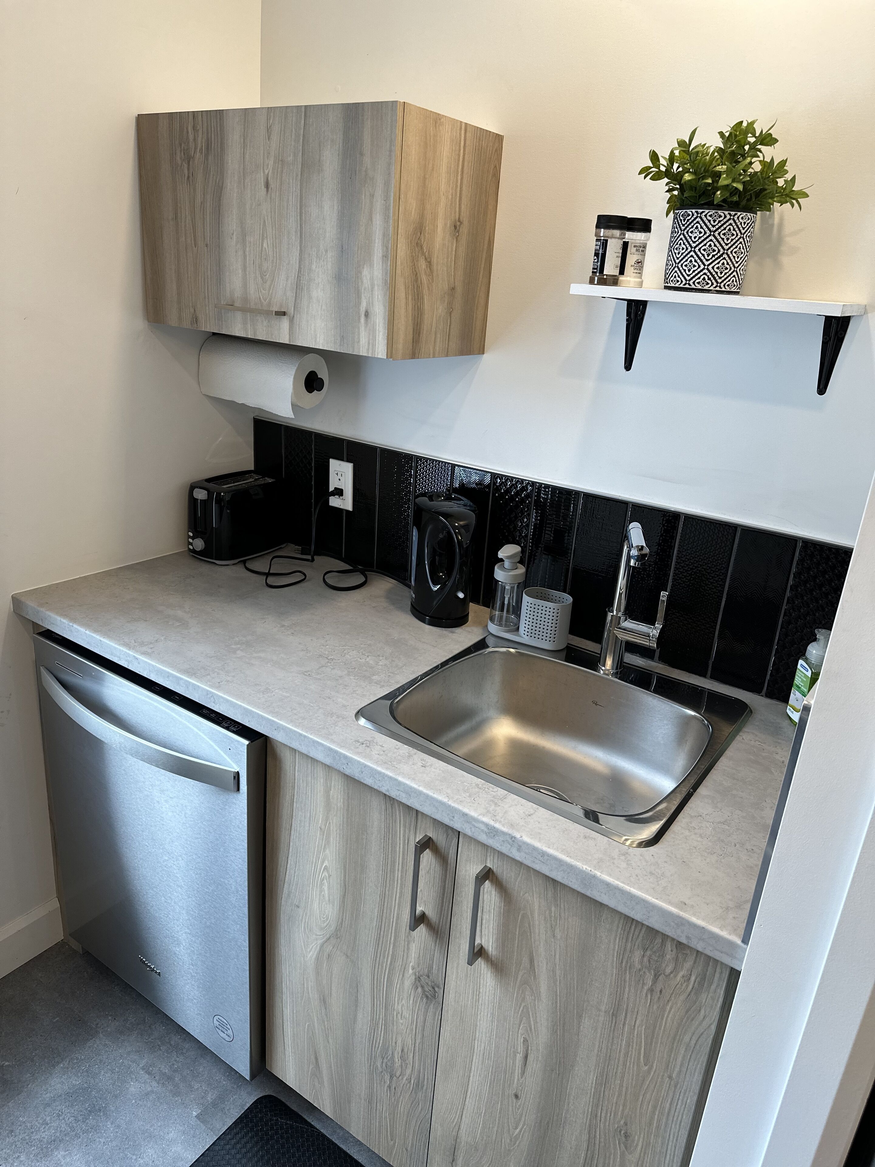A modern kitchen with a dishwasher, a sink, a coffee maker, and a potted plant on a shelf.