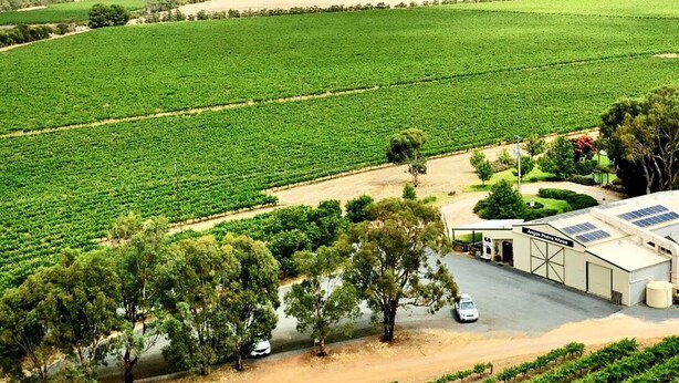 Un vignoble avec des rangées de vignes, un bâtiment équipé de panneaux solaires et quelques voitures garées près de l’entrée.