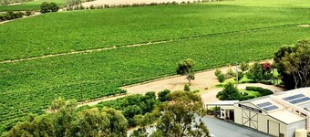 Unique luxury fully equipped apartment with vineyard views from your king bed.
