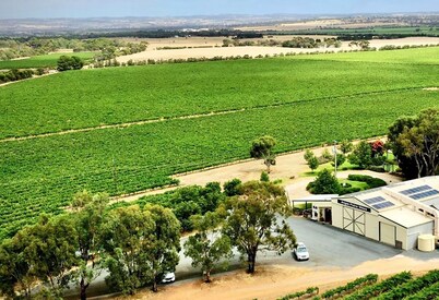 Unique luxury fully equipped apartment with vineyard views from your king bed.