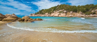 Magnetic Reef Unit 2