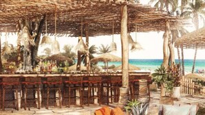 Zona bar in spiaggia con ombrelloni di paglia, sedute in legno e palme.