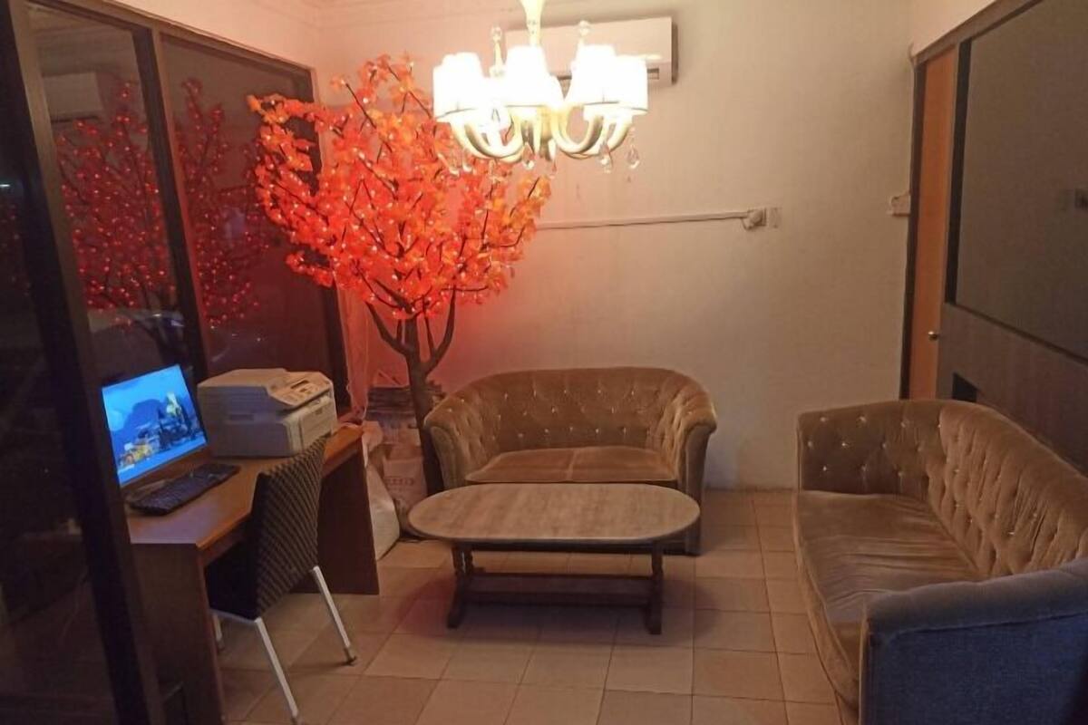 A living room with a sofa, a small table, a TV, and a decorative tree.