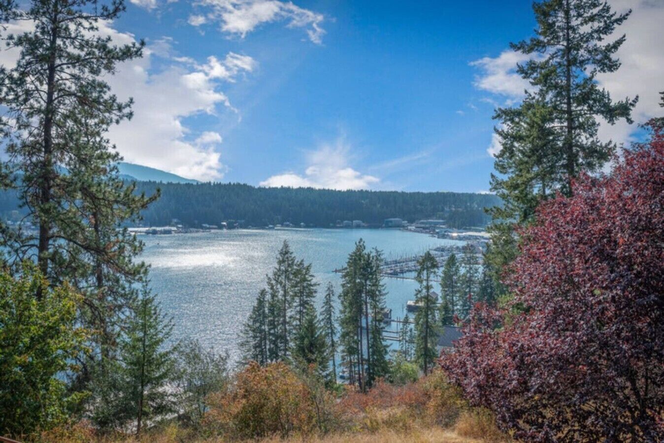 A lake surrounded by trees and a mountain in the background.