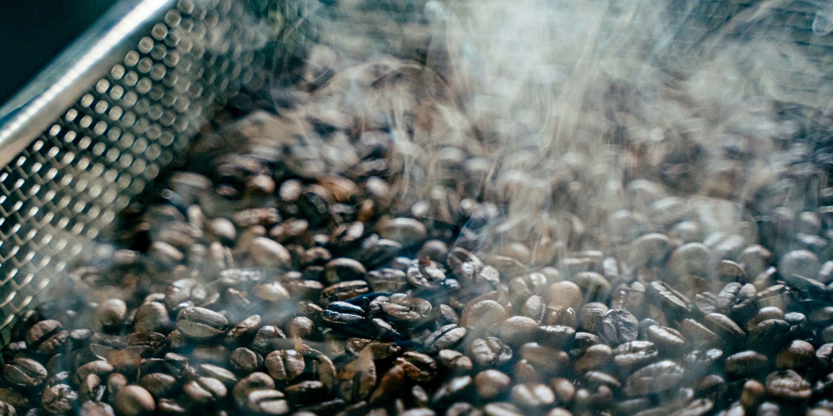 Roasted coffee beans in a metal sieve.