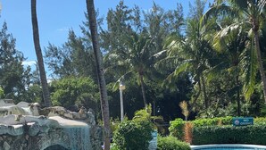 A clear blue pool with a stone bridge, surrounded by lush greenery and palm trees. - Special Rates: Steps to Ocean, Patio, Pool (Paradise Island)