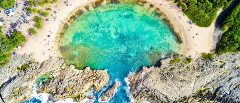 Playa en los alrededores