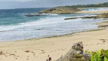 A beach with a rocky outcrop in the distance, a sandy shore, and green vegetation in the foreground.