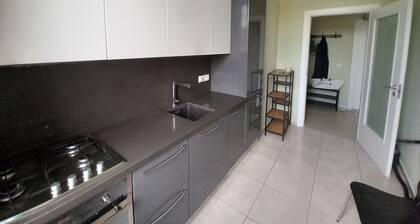 Great apartment in Bucharest close to park , clubs and mall .