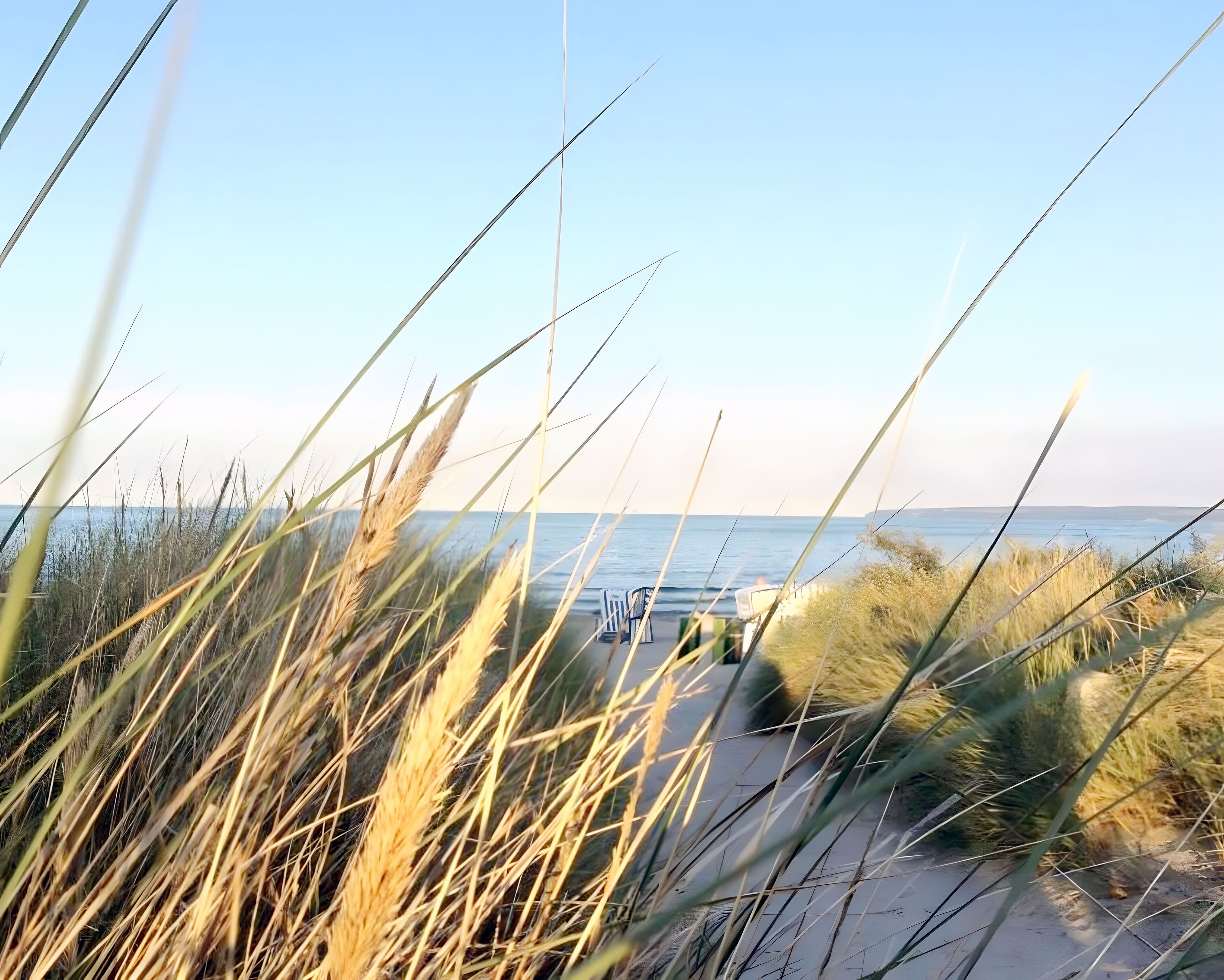 Een strandpad met hoge grassen en uitzicht op zee.