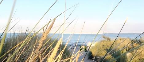 Een strandpad met hoge grassen en uitzicht op zee.