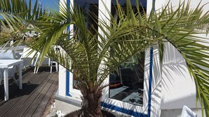 A potted palm tree in front of a building with a white exterior and blue trim. - Hotel und Restaurant Windland (Breege)
