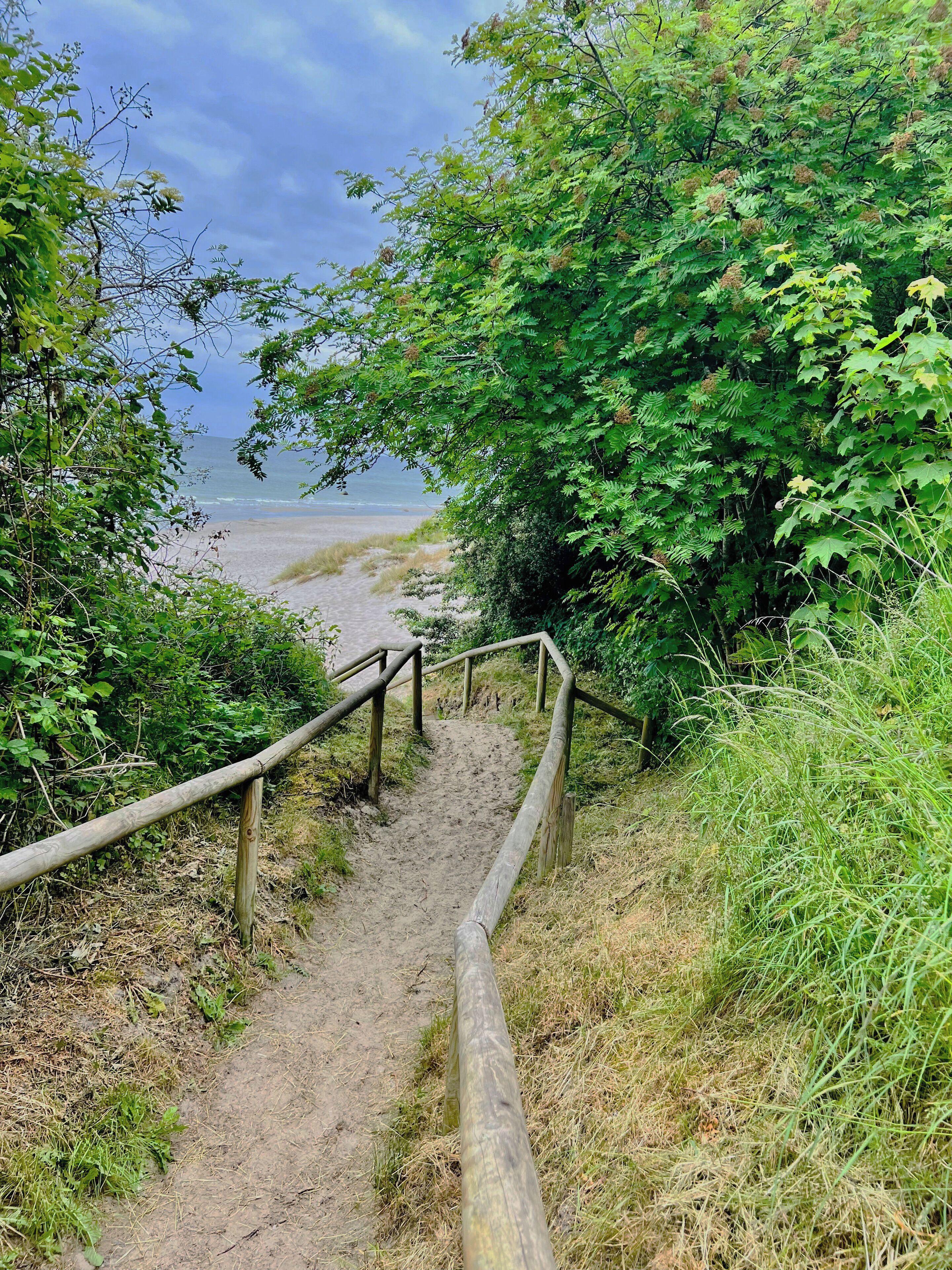Eine Holztreppe führt zu einem Strand, umgeben von dichtem Grün.