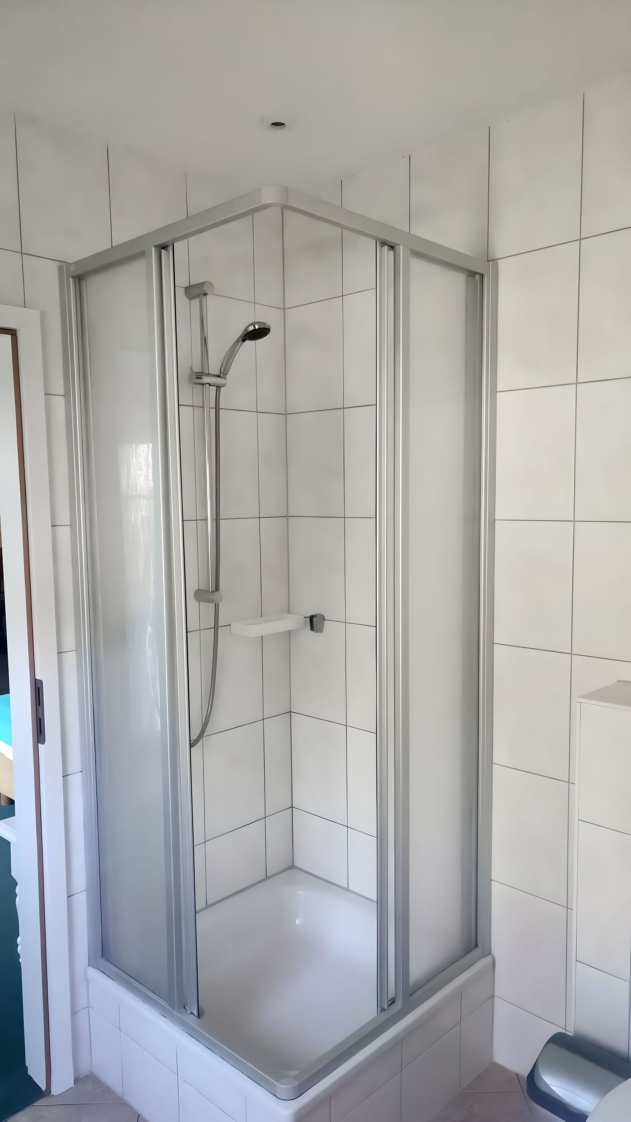 A corner shower enclosure with a glass door, a handheld showerhead, and a wall-mounted control panel.