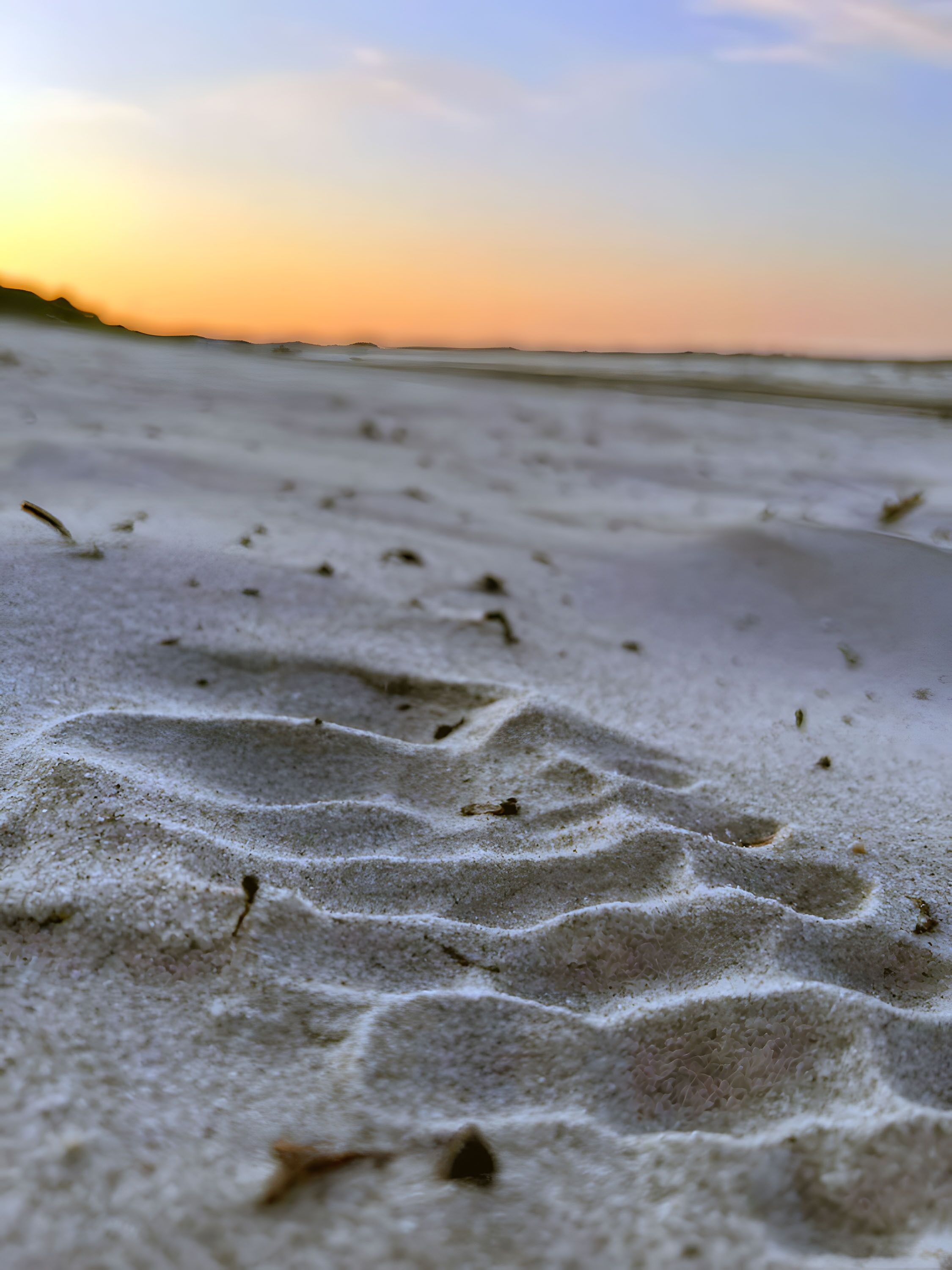 Nærbillede af en sandstrand med fodspor og småt affald.