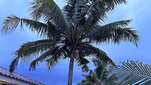 An outdoor seating area with tables and chairs, surrounded by palm trees and a building with a red roof. - OYO 90818 Cemara Puri Resort & Spa  (Kuantan)