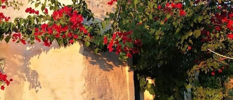 DĂ©tail de lâextĂ©rieur