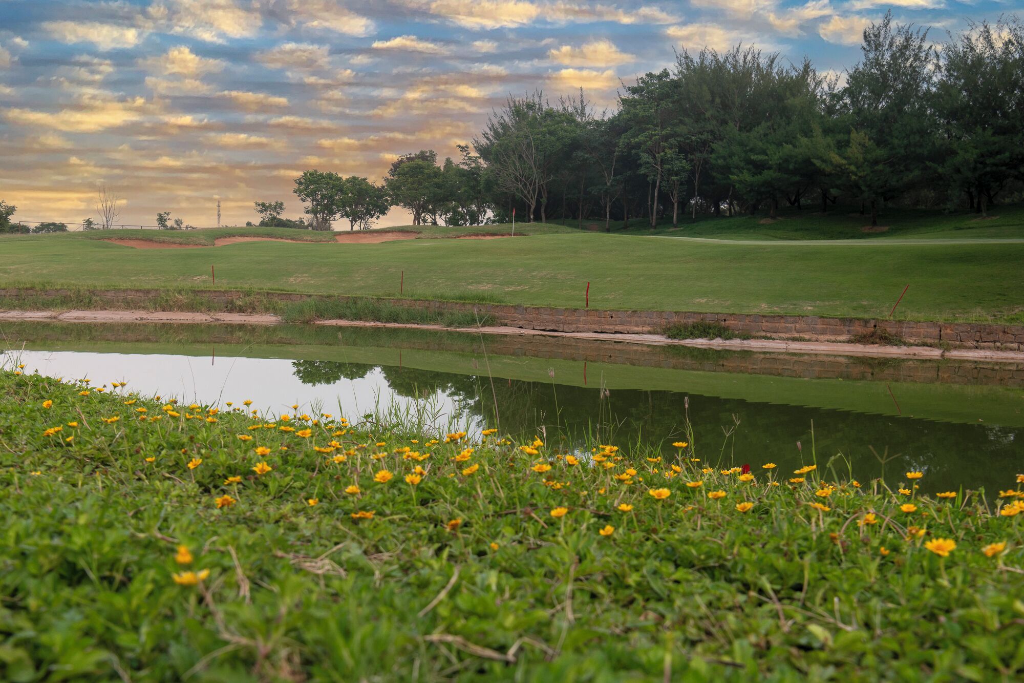 A golf course with a pond in the foreground and trees in the background.