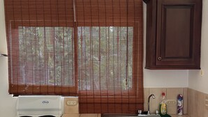 A kitchen with a stove, sink, and wooden cabinets. - Mariposa End Unit Loft (Playas Del Coco)