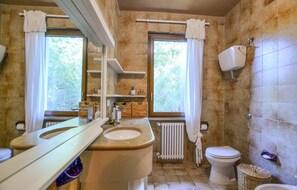 Shower, hair dryer - Pet friendly apartment in Anghiari (Anghiari)