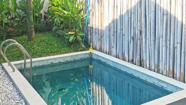 Et rektangulært swimmingpool med en metalstige på den ene side, omgivet af en bambushegn og frodig beplantning.