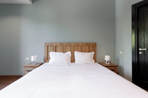 Basic Double Room - inn go Kutaisi (Kutaisi)