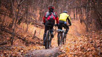 Two cyclists on a forest trail.