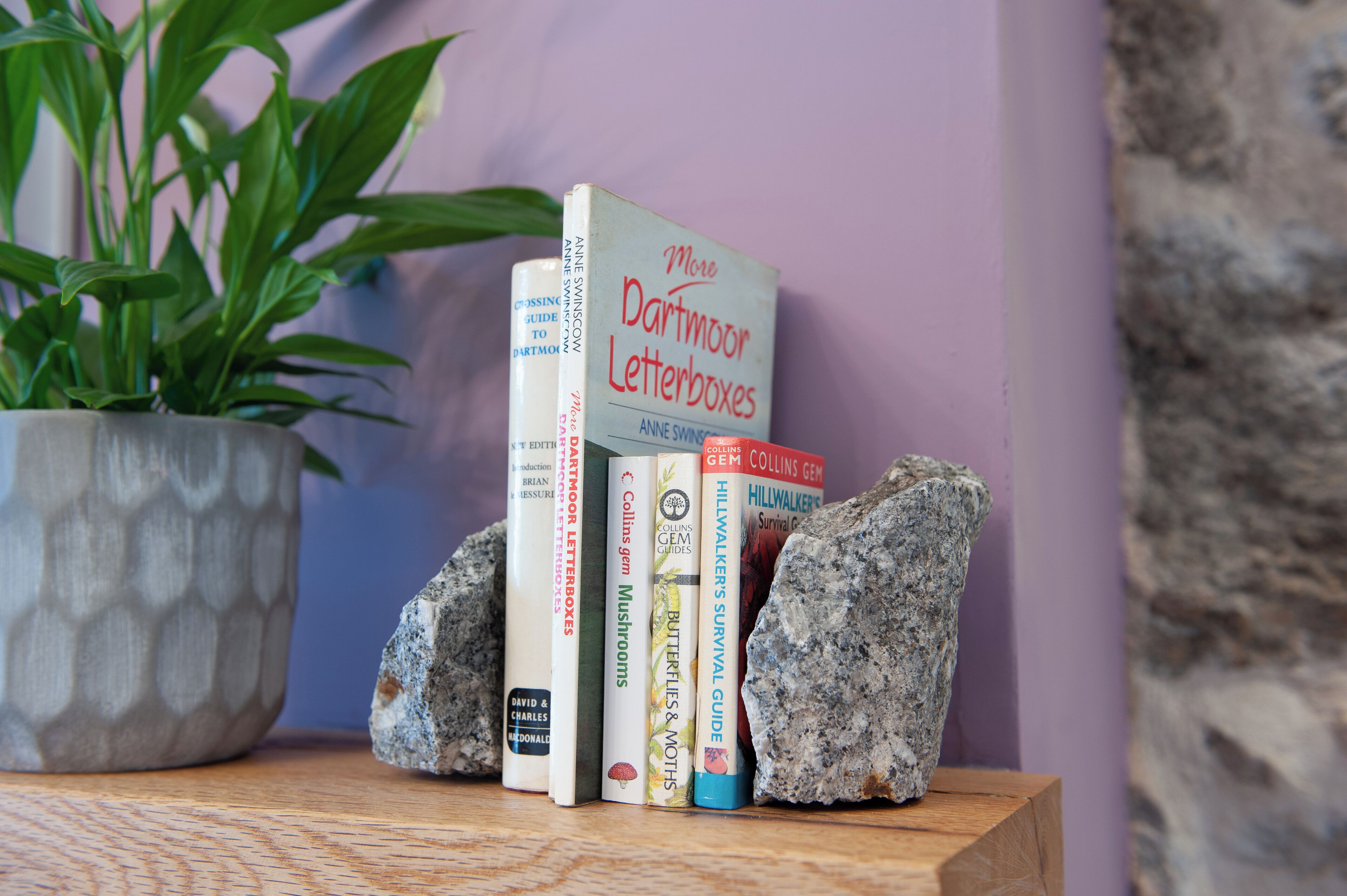 A collection of books on a wooden surface with a potted plant and a stone wall in the background.