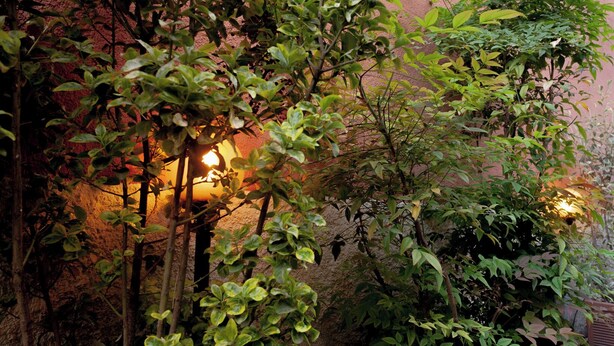 A garden area with various plants and a wall with a light fixture. - BnButler - Riccardo Galli 9 (Milan)