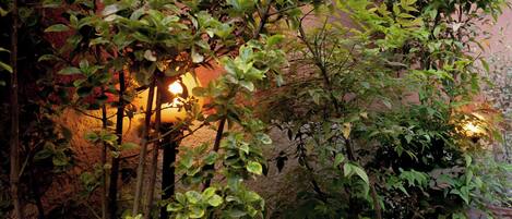 Apartment | Terrasse/Patio