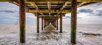 Driftwood Beach Hut, Southwold