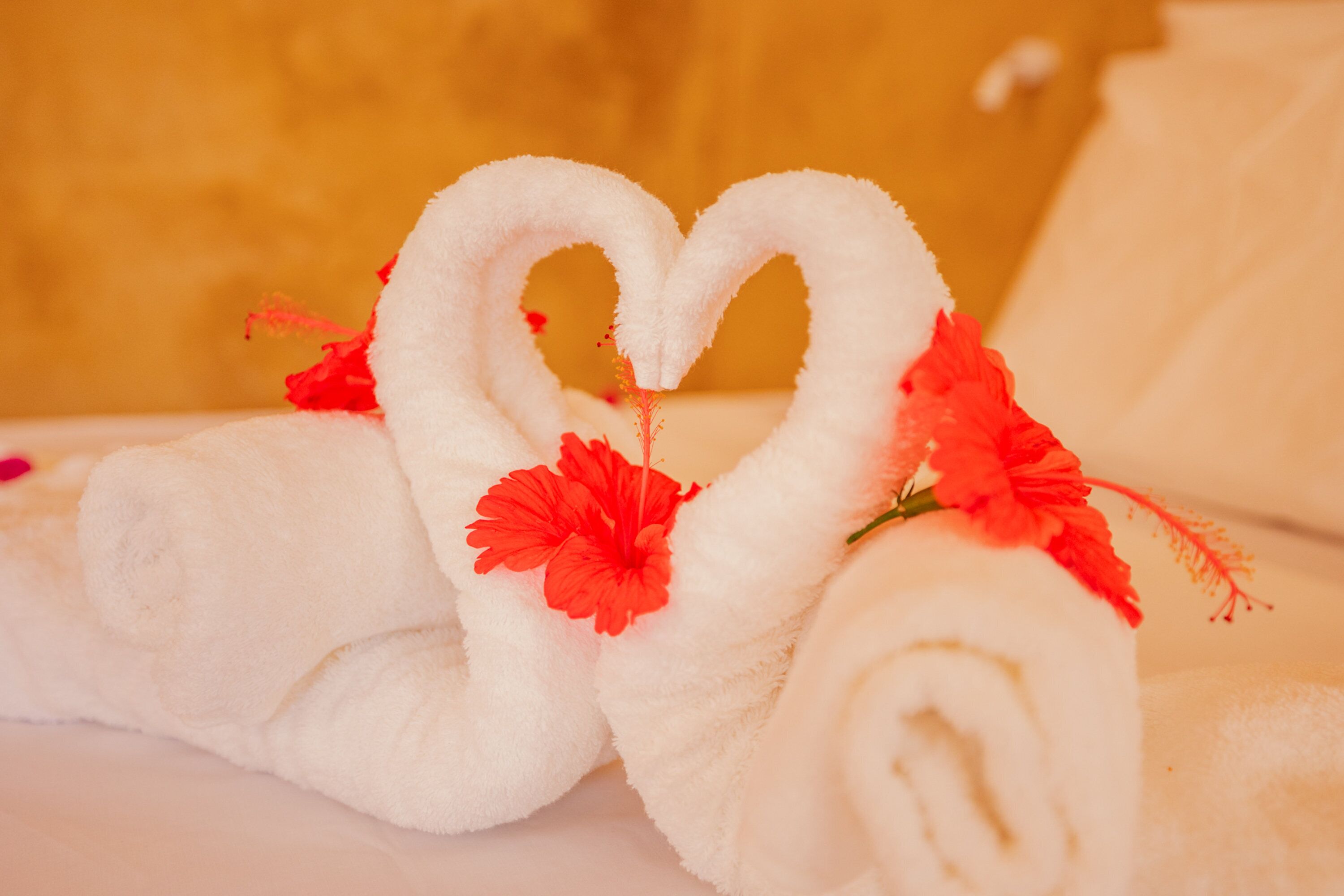Un conjunto ordenado de toallas blancas con un arreglo en forma de corazón y flores rojas sobre una cama.