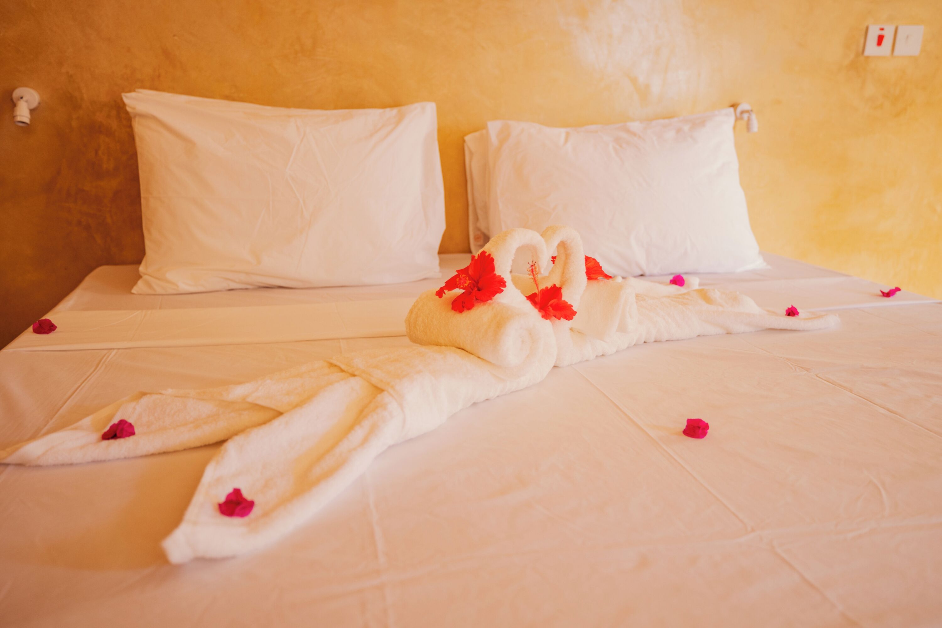 Una cama con ropa blanca, una toalla con forma de cisne y pétalos de rosa.