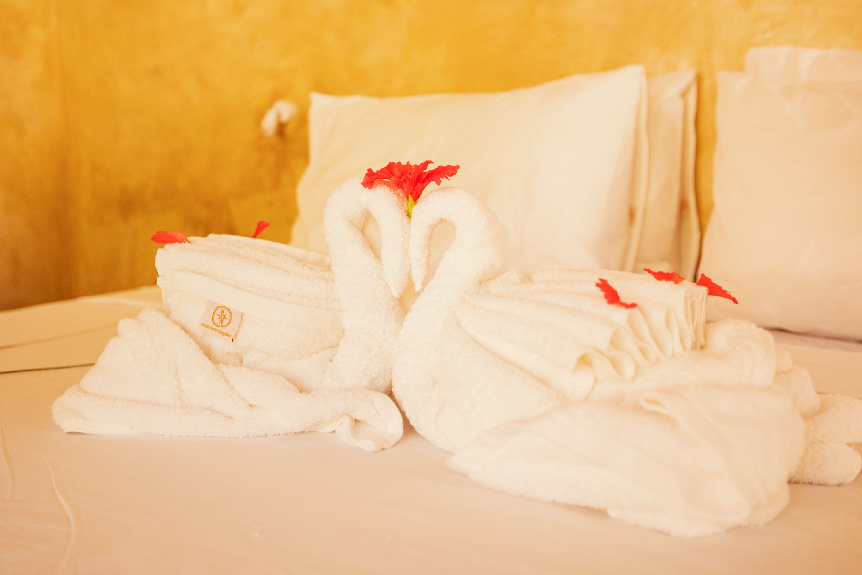 A bed with two white towels arranged in the shape of swans, with red flowers on top.