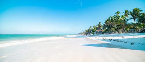 On the beach, sun loungers, beach towels, beach bar