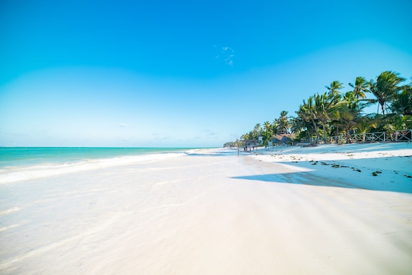 Plage, chaises longues, serviettes de plage, bar de plage