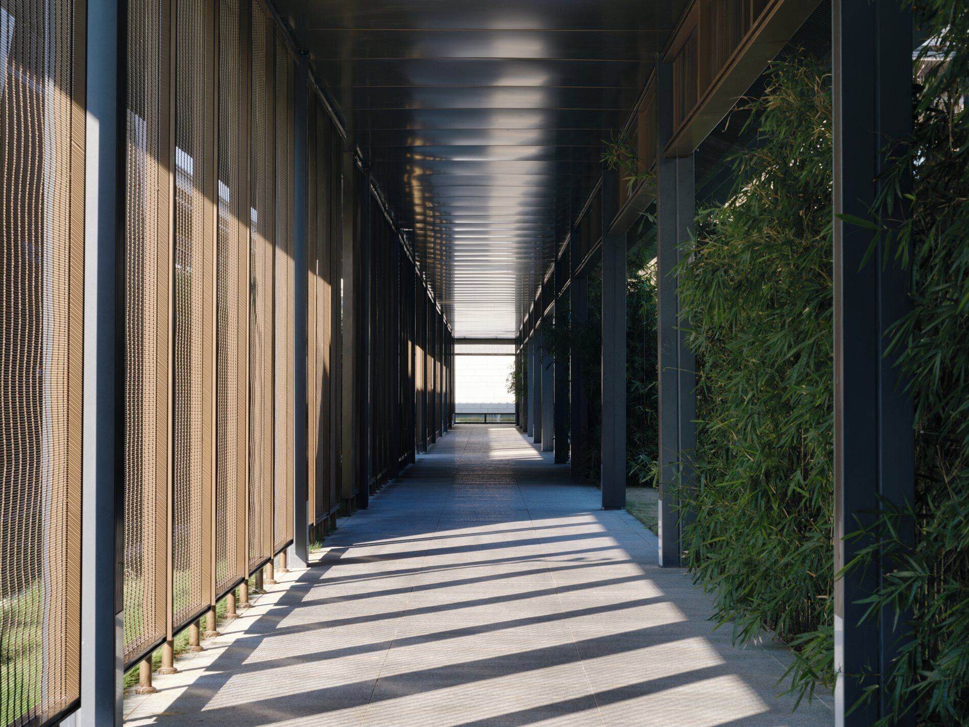 A corridor with a patterned metal fence on one side and bamboo plants on the other, leading to a bright area at the end.