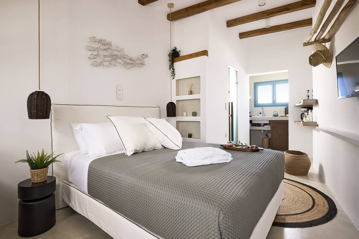 Un dormitorio moderno con una cama grande, una planta en la mesita de noche y una alfombra redonda pequeña.