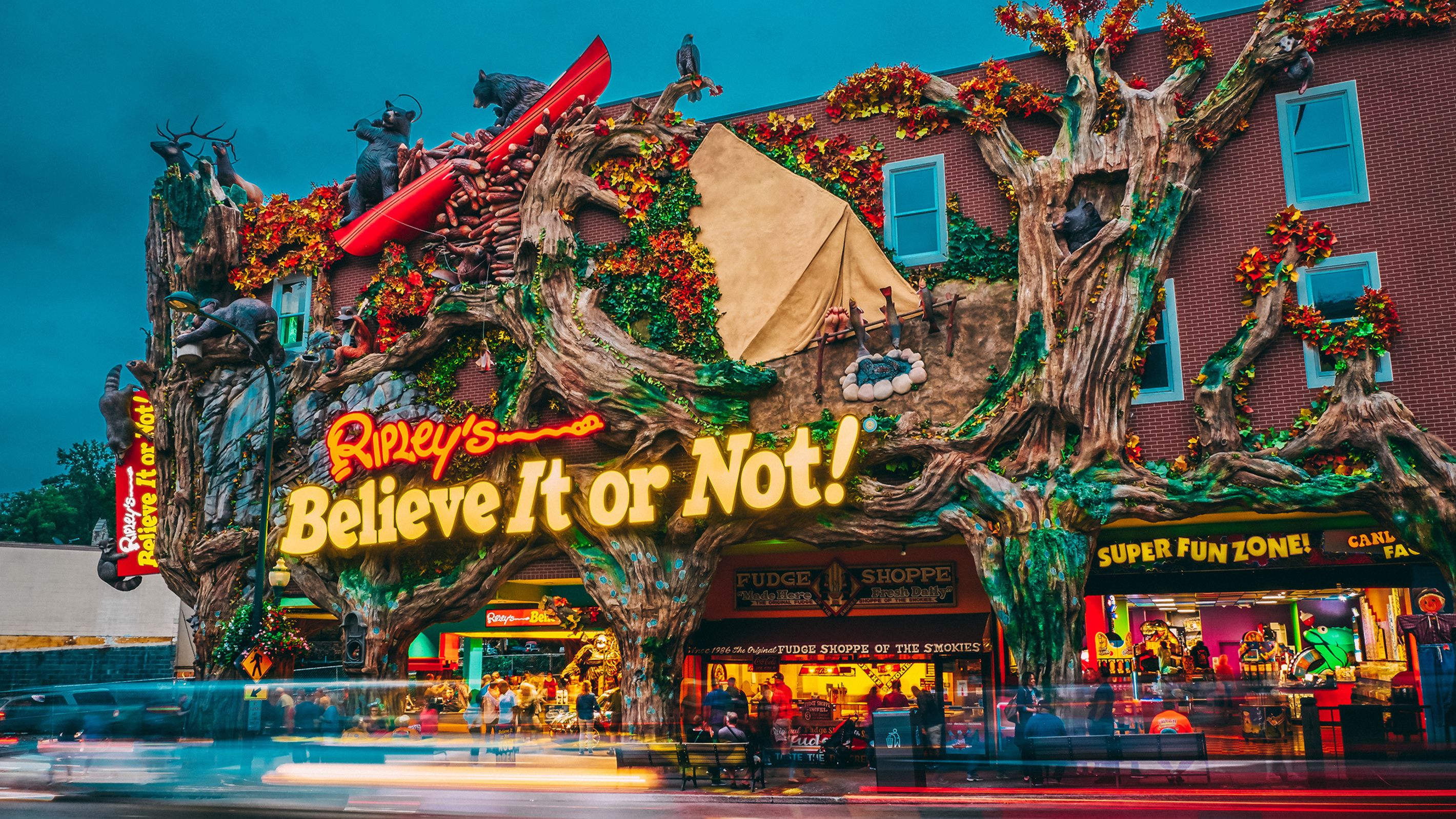 A building with a large sign reading 'Ripley's Believe It or Not!' and a tree with bears.