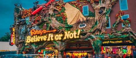 A building with a large sign reading 'Ripley's Believe It or Not!' and a tree with bears.