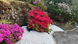 Un jardín con senderos de grava blanca, arbustos florecientes en tonos rosados y rojos, y un muro de piedra.