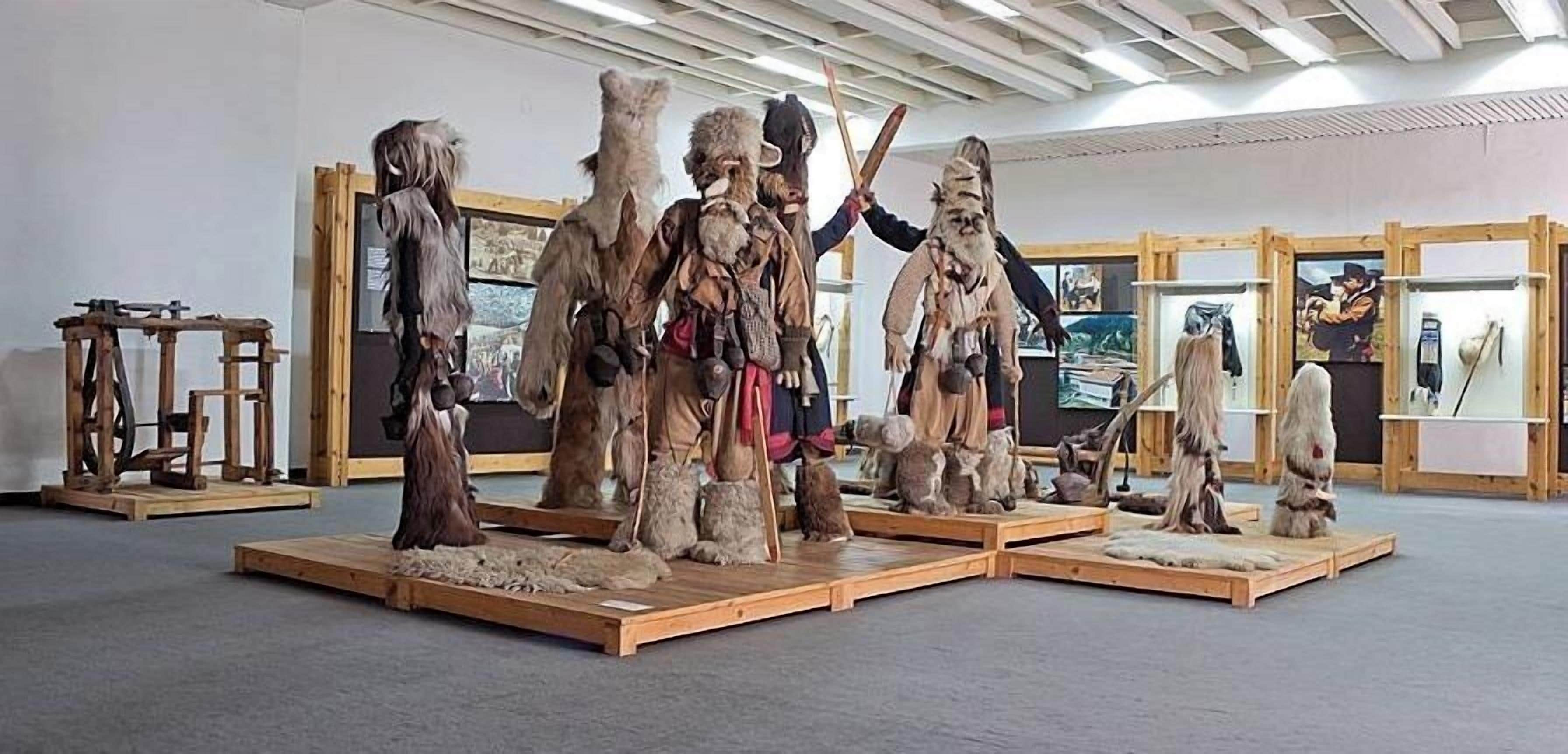 A room with wooden platforms displaying various animal figures and artifacts.