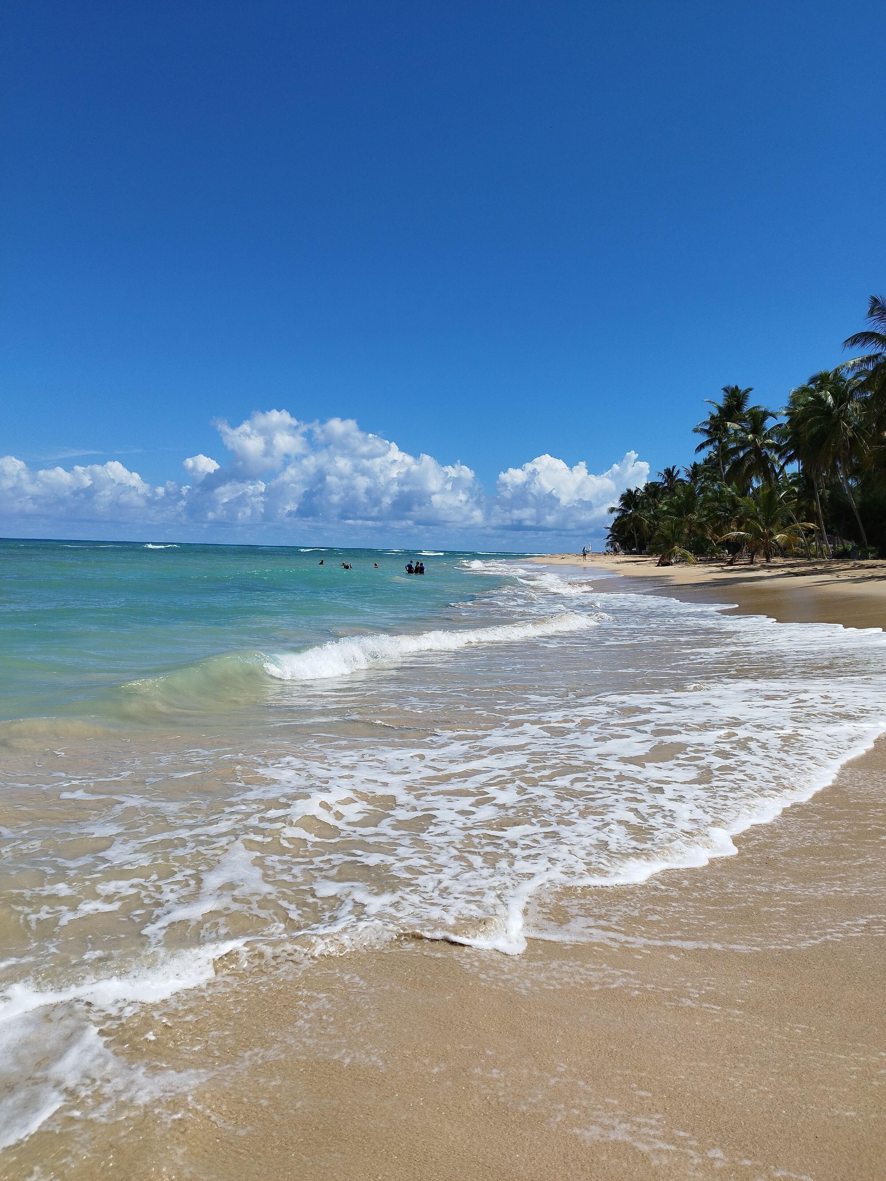 Plage, chaises longues