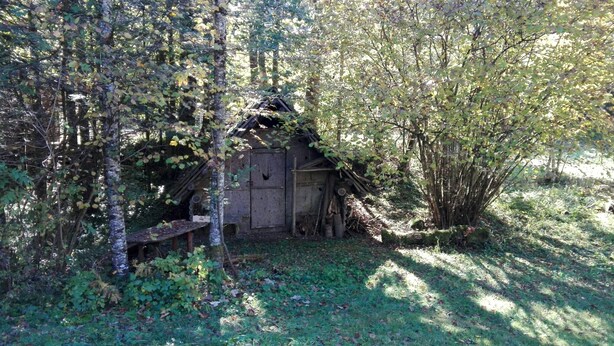 A rustic wooden cabin surrounded by dense foliage, with a small bench and a pile of firewood nearby. - Cozy and centrally located vacation home 500 meters from the cable car/ski slope (Mitterstoder)