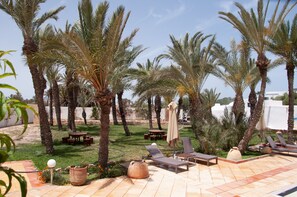 Garden - Le Patio de Mezraya (Mezraia)