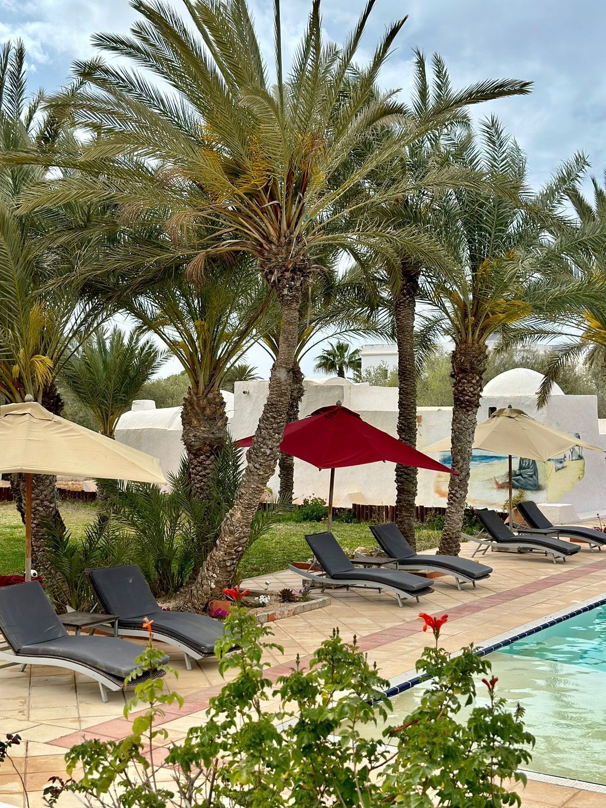 A poolside area with lounge chairs, palm trees, and umbrellas.