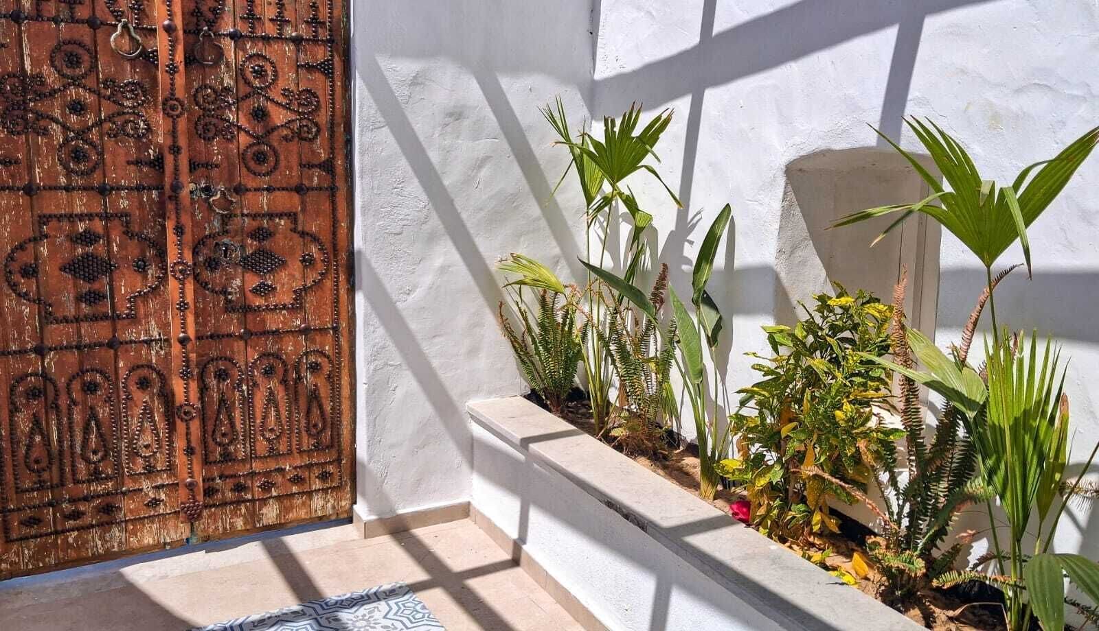A wooden door with intricate carvings, a white wall, and a planter with various plants.