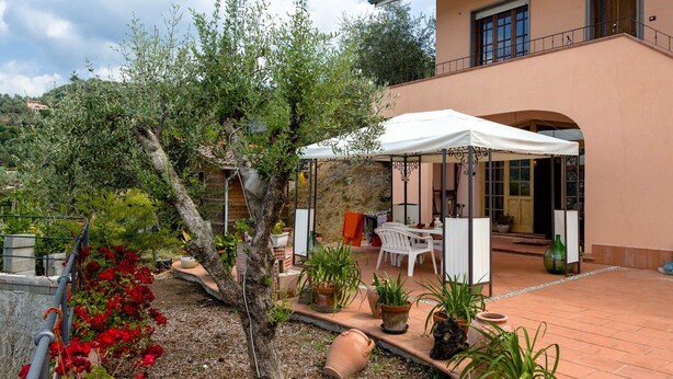 Un espace extérieur abrité, aménagé avec une table et des chaises, entouré de plantes en pot et d’un arbre.